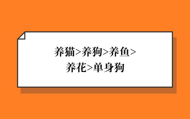 阿里内部鄙视链