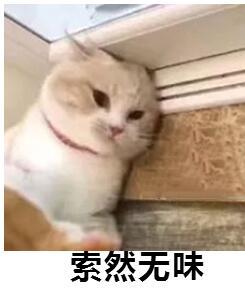 400块买了个华强北AirPods Pro,苹果看了想打人…
