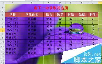 Excel怎么添加可以打印的背景图?一起看看吧
