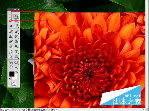 新手不可错过!photoshop入门教程