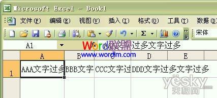 如何设置Excel2003单元格输入文字后自动调整合适行高和列宽