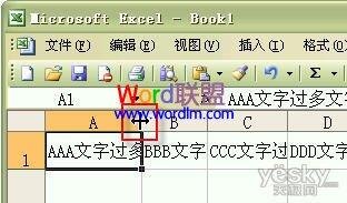 如何设置Excel2003单元格输入文字后自动调整合适行高和列宽