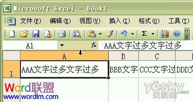 如何设置Excel2003单元格输入文字后自动调整合适行高和列宽