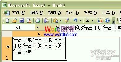 如何设置Excel2003单元格输入文字后自动调整合适行高和列宽