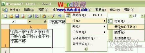 如何设置Excel2003单元格输入文字后自动调整合适行高和列宽