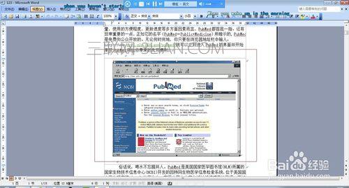 word里的图片怎么另存?