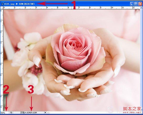 基础要l牢固!Photoshop 界面详细介绍