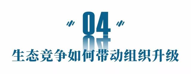 下一个10年阿里&腾讯谁会胜出?